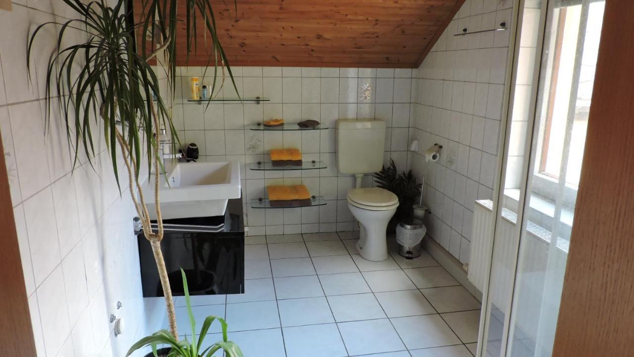 Elbhangzimmer Drážďany Exteriér fotografie