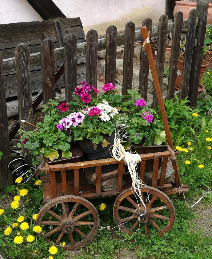 Elbhangzimmer Drážďany Exteriér fotografie