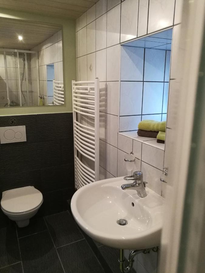 Elbhangzimmer Drážďany Exteriér fotografie