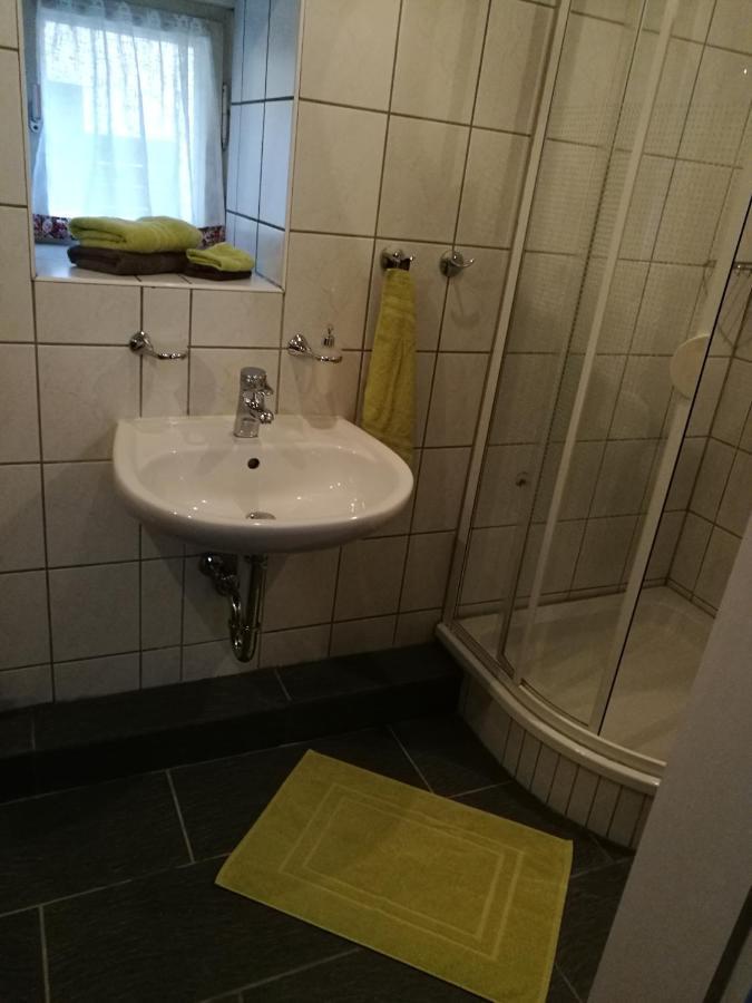 Elbhangzimmer Drážďany Exteriér fotografie