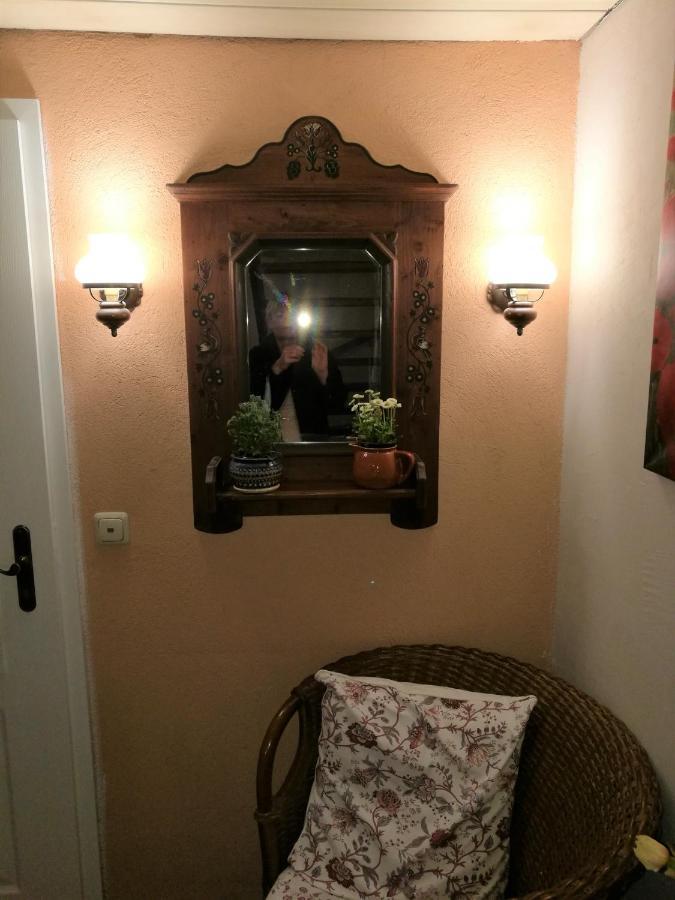 Elbhangzimmer Drážďany Exteriér fotografie