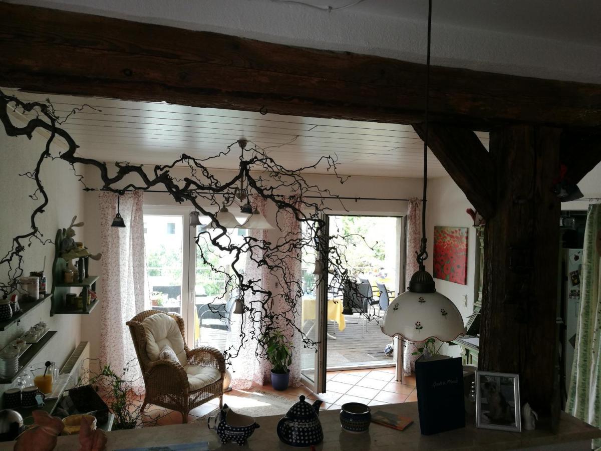 Elbhangzimmer Drážďany Exteriér fotografie